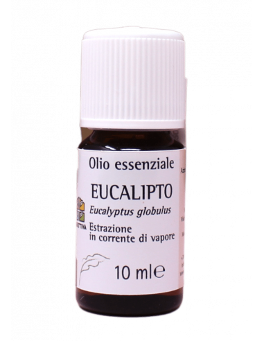 Olio Essenziale di Eucalipto.
Brand Olfattiva.