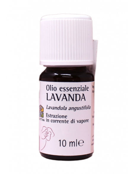 Olio Essenziale di Lavanda.
Brand Olfattiva.