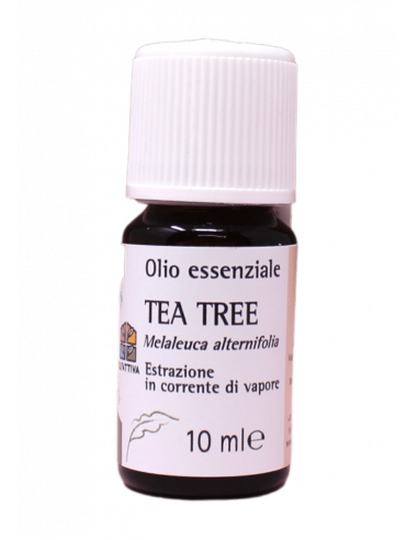 Olio Essenziale di Tea Tree.
Brand Olfattiva.